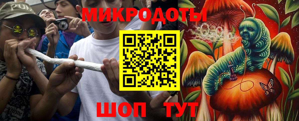Псилоцибиновые грибы Cubensis  Вход с VPN  Великий Новгород 